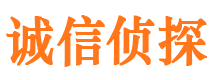 雁峰侦探